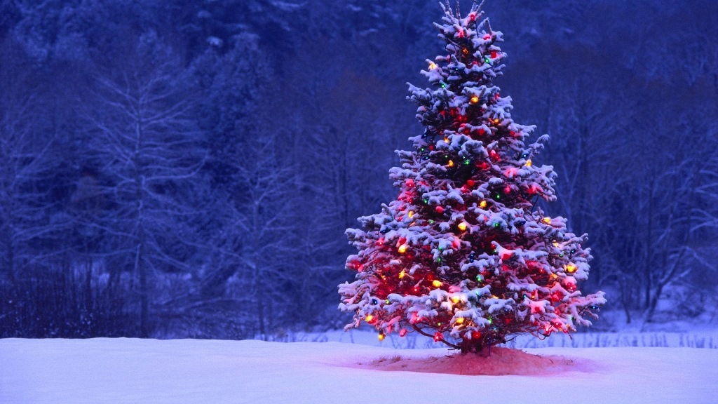 Natale On Tumblr.Mercatini Di Natale E Piste Sciistiche Regali Tra La Neve Travelglobe