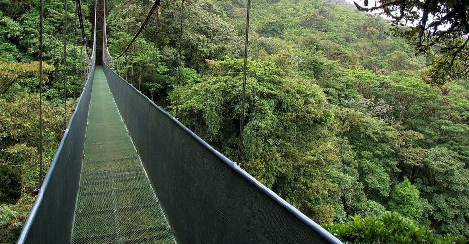 skywalk costarica