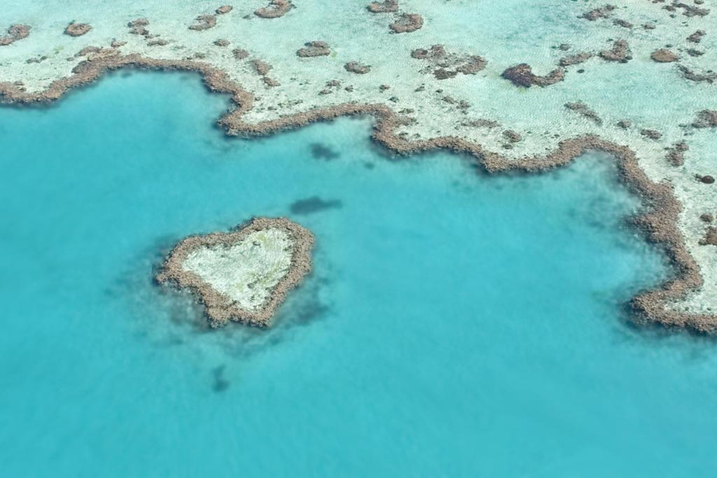 Australia La Grande Barriera Corallina E Stata Dichiarata Morta