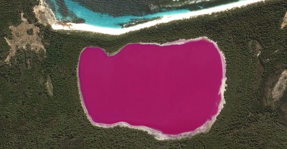 pink lake